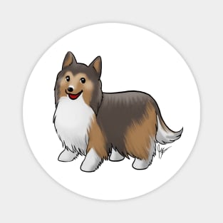 Dog - Shetland Sheepdog - Sable Magnet